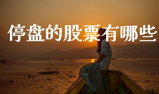 停盘的股票有哪些_https://www.gongyisiwang.com_股指期货交易手续费_第1张