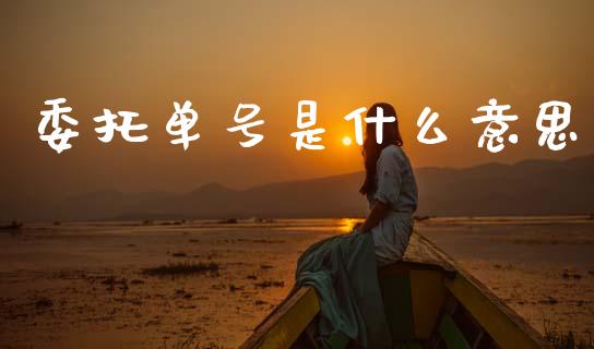 委托单号是什么意思_https://www.gongyisiwang.com_恒指期货_第1张