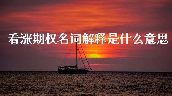 看涨期权名词解释是什么意思_https://www.gongyisiwang.com_恒指期货_第1张