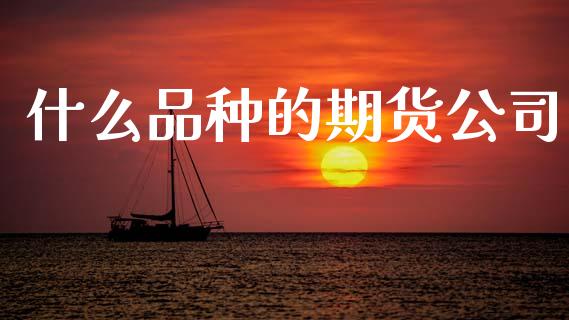 什么品种的期货公司_https://www.gongyisiwang.com_焦炭期货手续费_第1张