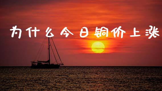 为什么今日铜价上涨_https://www.gongyisiwang.com_期货公司手续费排名_第1张