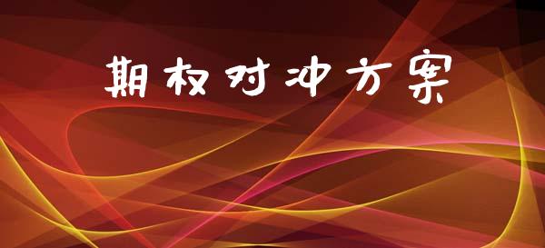 期权对冲方案_https://www.gongyisiwang.com_道指_第1张