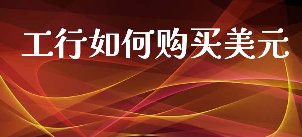 工行如何购买美元_https://www.gongyisiwang.com_焦炭期货手续费_第1张