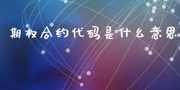 期权合约代码是什么意思_https://www.gongyisiwang.com_期货公司手续费排名_第1张