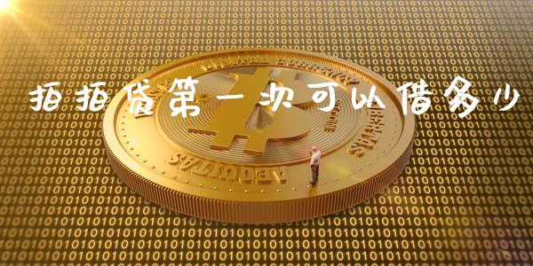 拍拍贷第一次可以借多少_https://www.gongyisiwang.com_道指_第1张
