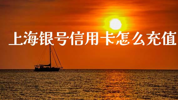 上海银号信用卡怎么充值_https://www.gongyisiwang.com_恒指期货_第1张