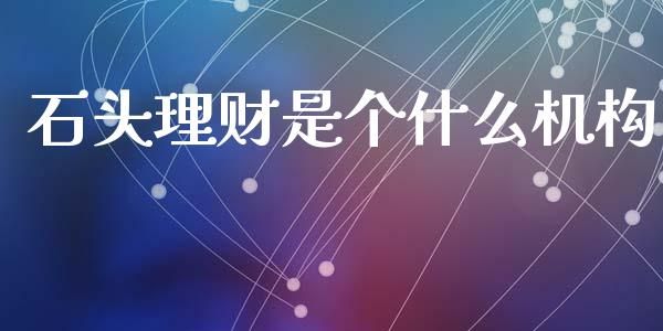 石头理财是个什么机构_https://www.gongyisiwang.com_期货公司手续费排名_第1张