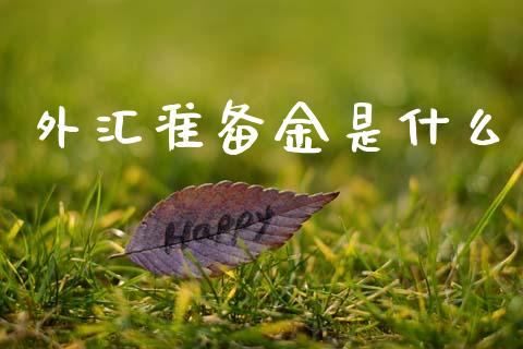 外汇准备金是什么_https://www.gongyisiwang.com_期货公司手续费排名_第1张