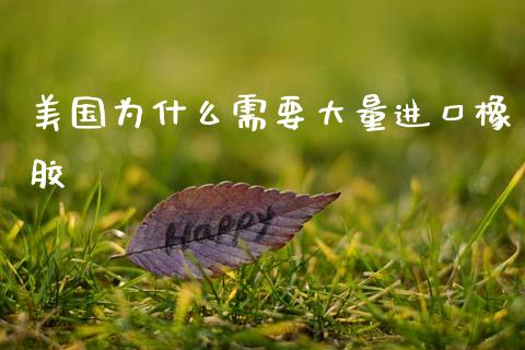 美国为什么需要大量进口橡胶_https://www.gongyisiwang.com_股指期货_第1张