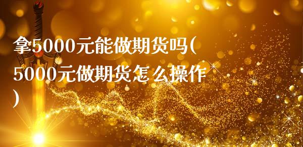 拿5000元能做期货吗(5000元做期货怎么操作)_https://www.gongyisiwang.com_股指期货交易手续费_第1张