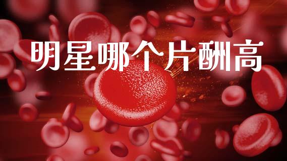 明星哪个片酬高_https://www.gongyisiwang.com_广发期货手续费_第1张