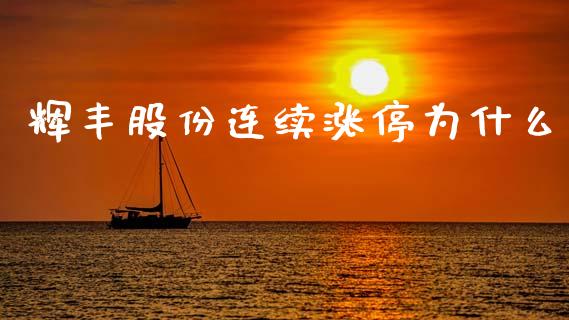 辉丰股份连续涨停为什么_https://www.gongyisiwang.com_股指期货交易手续费_第1张