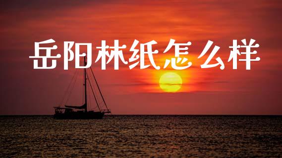 岳阳林纸怎么样_https://www.gongyisiwang.com_广发期货手续费_第1张