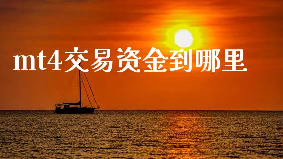 mt4交易资金到哪里_https://www.gongyisiwang.com_期货公司手续费排名_第1张