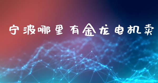 宁波哪里有金龙电机卖_https://www.gongyisiwang.com_恒指期货_第1张