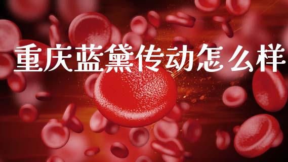 重庆蓝黛传动怎么样_https://www.gongyisiwang.com_期货公司手续费排名_第1张