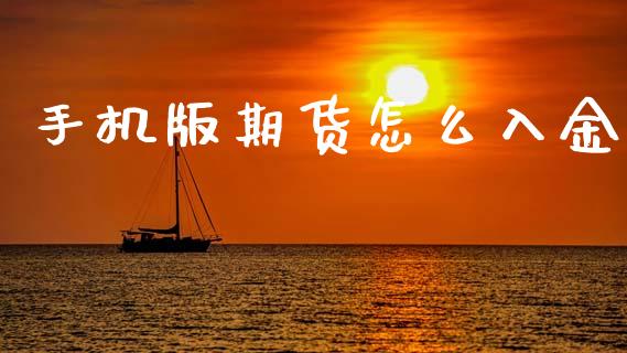 手机版期货怎么入金_https://www.gongyisiwang.com_焦炭期货手续费_第1张