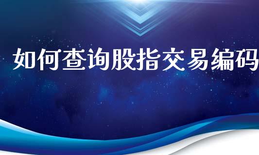 如何查询股指交易编码_https://www.gongyisiwang.com_道指_第1张