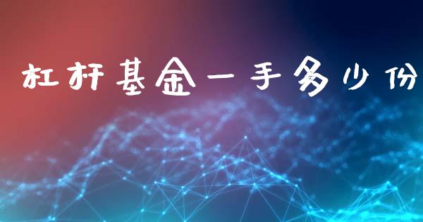 杠杆基金一手多少份_https://www.gongyisiwang.com_广发期货手续费_第1张