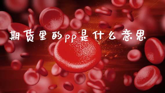 期货里的pp是什么意思_https://www.gongyisiwang.com_期货公司手续费排名_第1张