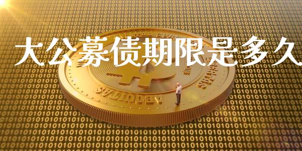 大公募债期限是多久_https://www.gongyisiwang.com_道指_第1张