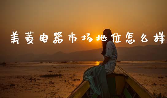 美菱电器市场地位怎么样_https://www.gongyisiwang.com_股指期货交易手续费_第1张
