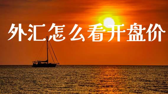 外汇怎么看开盘价_https://www.gongyisiwang.com_股指期货交易手续费_第1张