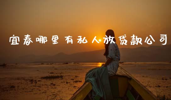 宜春哪里有私人放贷款公司_https://www.gongyisiwang.com_股指期货交易手续费_第1张