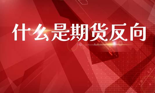 什么是期货反向_https://www.gongyisiwang.com_焦炭期货手续费_第1张