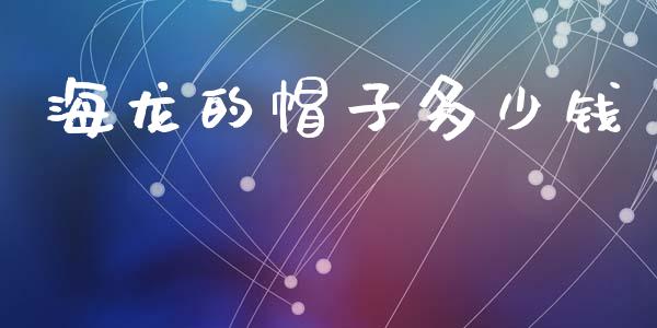 海龙的帽子多少钱_https://www.gongyisiwang.com_广发期货手续费_第1张