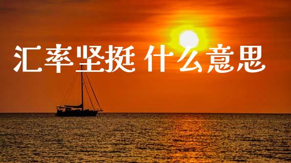 汇率坚挺 什么意思_https://www.gongyisiwang.com_期货公司手续费排名_第1张