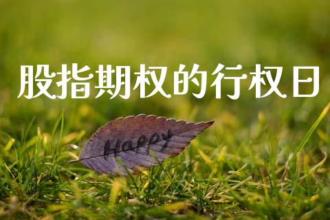 股指期权的行权日_https://www.gongyisiwang.com_道指_第1张