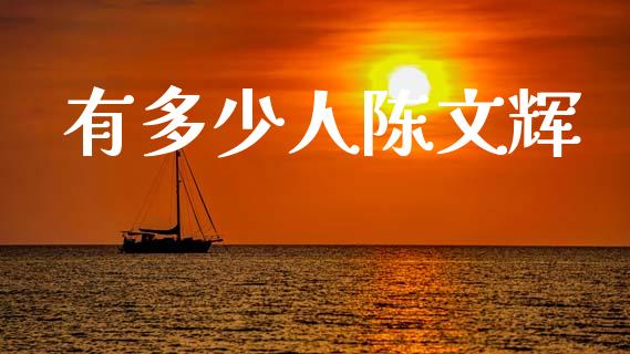 有多少人陈文辉_https://www.gongyisiwang.com_道指_第1张