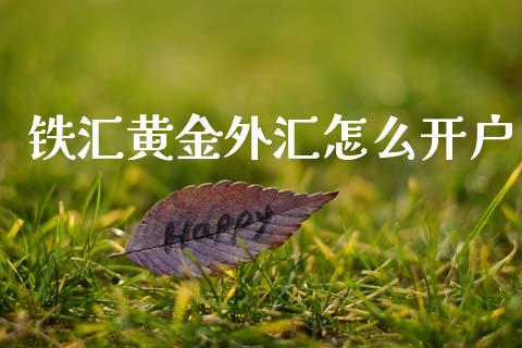 铁汇黄金外汇怎么开户_https://www.gongyisiwang.com_焦炭期货手续费_第1张