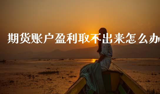 期货账户盈利取不出来怎么办_https://www.gongyisiwang.com_期货公司手续费排名_第1张