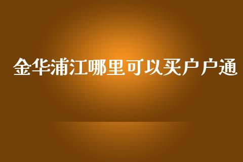 金华浦江哪里可以买户户通_https://www.gongyisiwang.com_恒指期货_第1张
