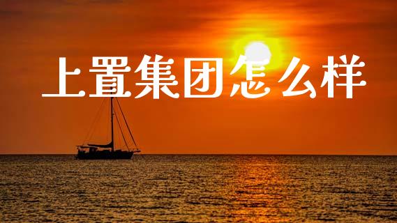 上置集团怎么样_https://www.gongyisiwang.com_焦炭期货手续费_第1张
