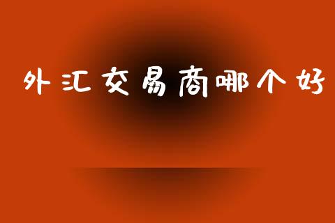 外汇交易商哪个好_https://www.gongyisiwang.com_期货公司手续费排名_第1张