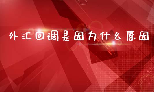 外汇回调是因为什么原因_https://www.gongyisiwang.com_焦炭期货手续费_第1张