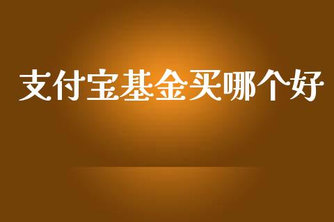 支付宝基金买哪个好_https://www.gongyisiwang.com_焦炭期货手续费_第1张