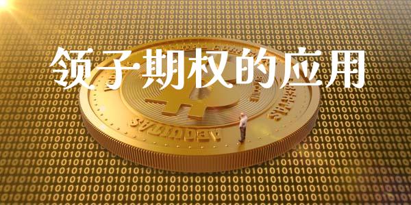 领子期权的应用_https://www.gongyisiwang.com_广发期货手续费_第1张