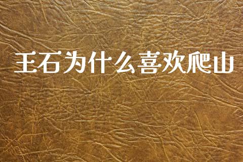 王石为什么喜欢爬山_https://www.gongyisiwang.com_焦炭期货手续费_第1张