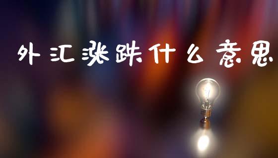 外汇涨跌什么意思_https://www.gongyisiwang.com_恒指期货_第1张