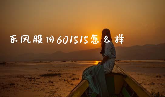 东风股份601515怎么样_https://www.gongyisiwang.com_股指期货交易手续费_第1张