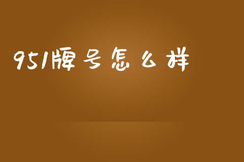 951牌号怎么样_https://www.gongyisiwang.com_恒指期货_第1张