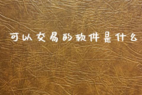可以交易的软件是什么_https://www.gongyisiwang.com_恒指期货_第1张