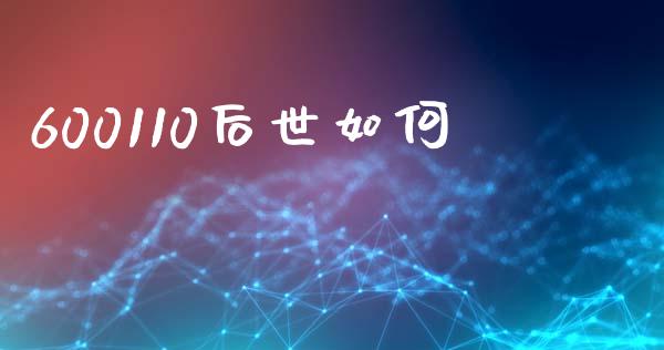 600110后世如何_https://www.gongyisiwang.com_股指期货交易手续费_第1张
