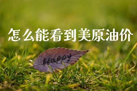 怎么能看到美原油价_https://www.gongyisiwang.com_恒指期货_第1张