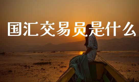 国汇交易员是什么_https://www.gongyisiwang.com_期货公司手续费排名_第1张