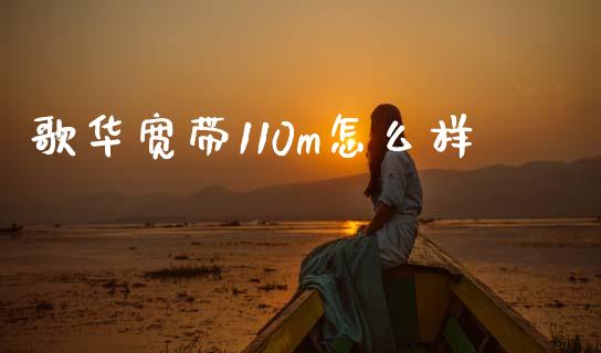 歌华宽带110m怎么样_https://www.gongyisiwang.com_恒指期货_第1张